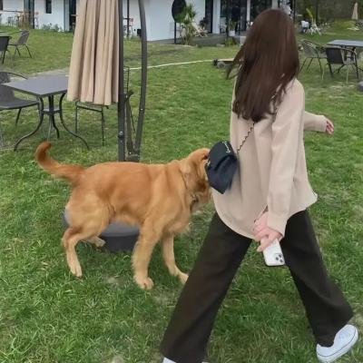 水下危机